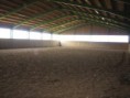 /album/freedom-ranch/halle-jpg1/