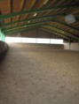 /album/freedom-ranch/halle-1-jpg1/