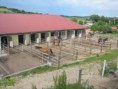 /album/freedom-ranch/paddock-jpg1/