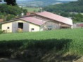 /album/freedom-ranch/stall-jpg1/