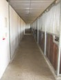 /album/freedom-ranch/stallgasse-jpg1/